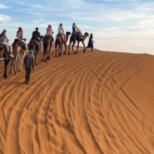 3 Days Desert Adventure