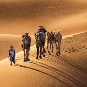 Great Desert Crossing