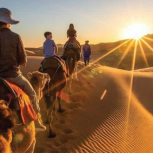 3 Days Desert Tour