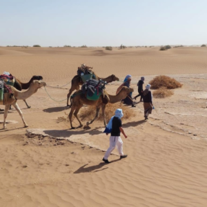 5 Days Camel Trek