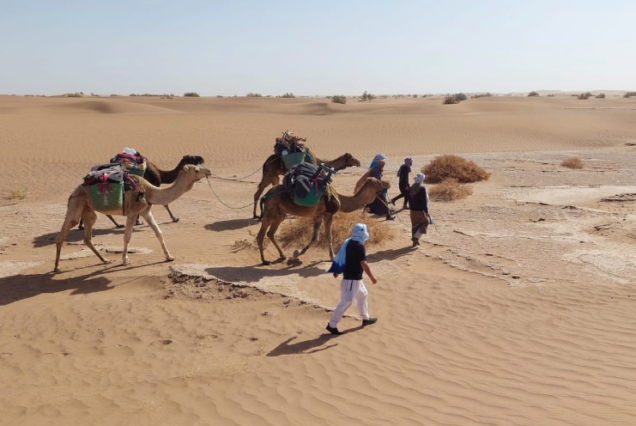 6 Days Mixed Circuit